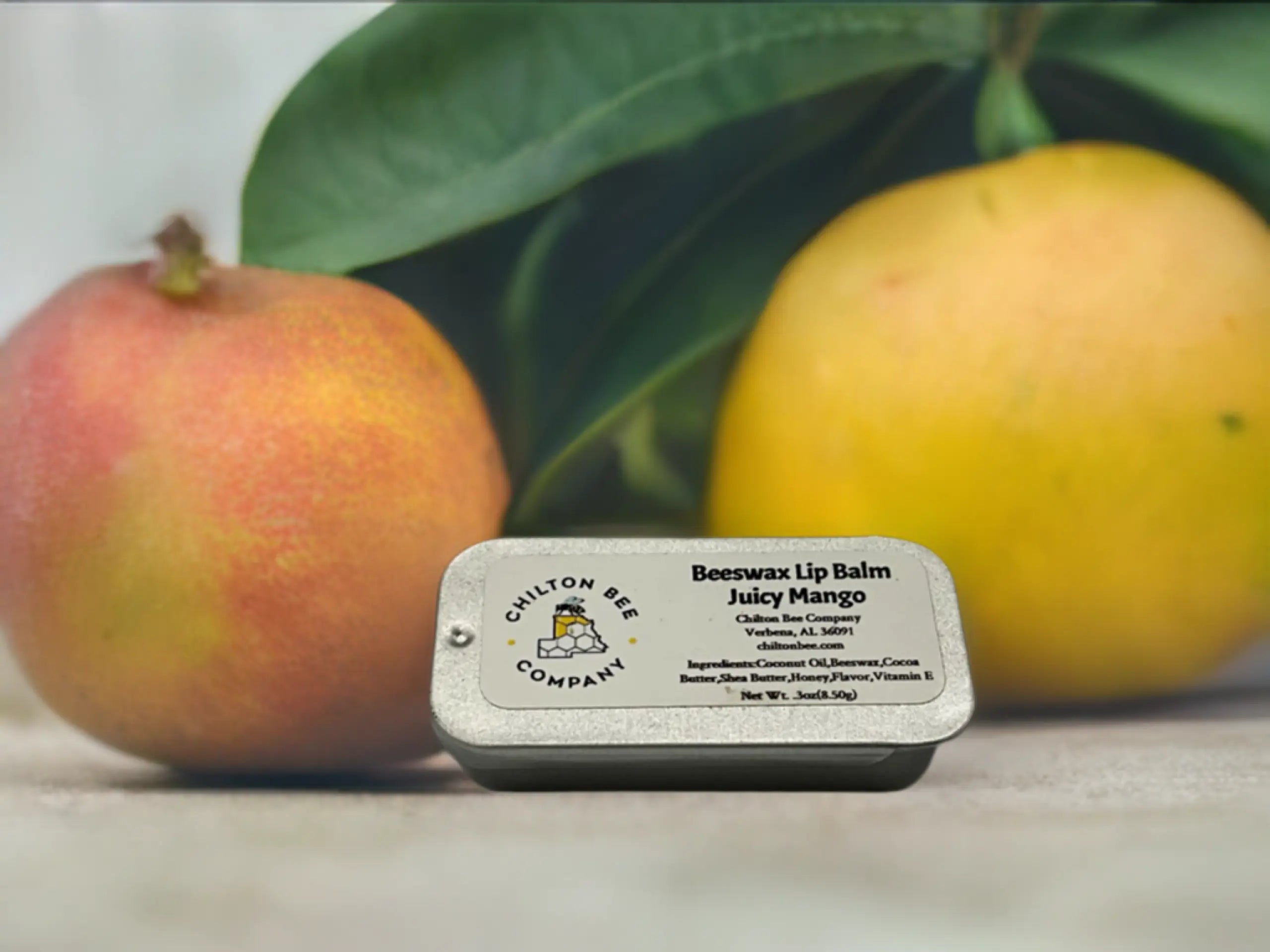 Chilton Bee Company Juicy Mango beeswax lip balm tin with two mangoes and green leaves in background.