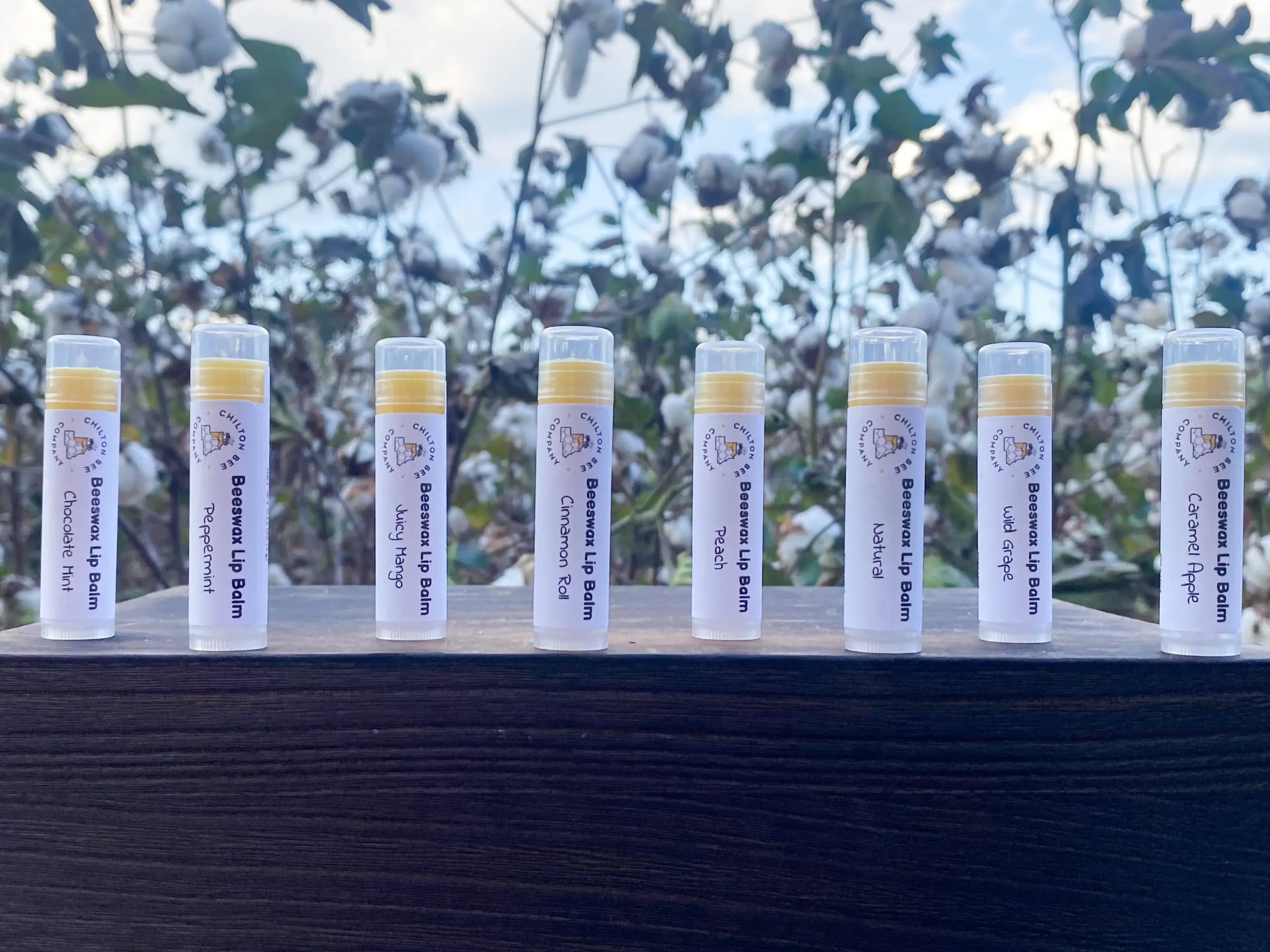 Lip Balm Tubes Chilton Bee Company