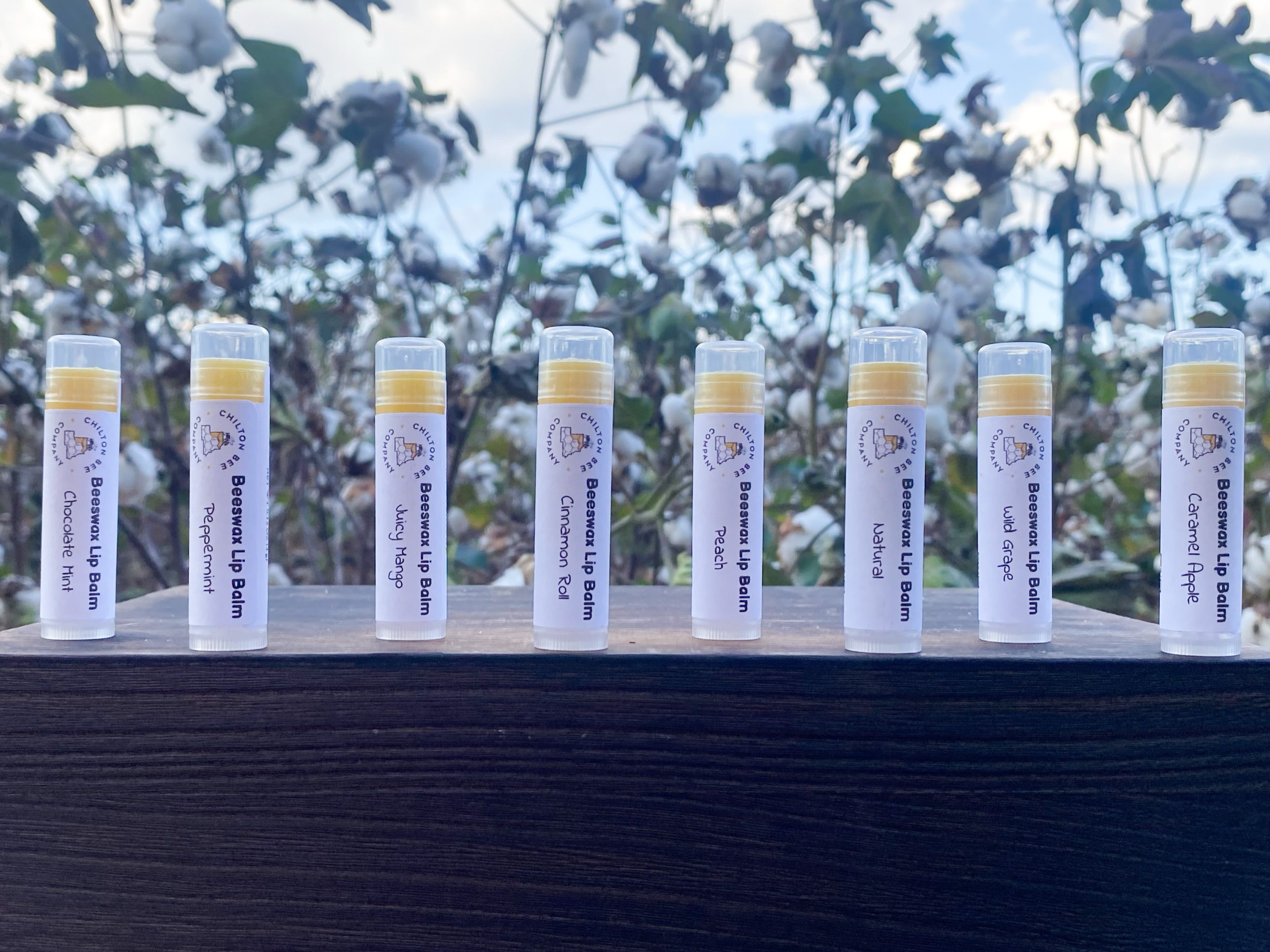 Lip Balm Tubes Chilton Bee Company