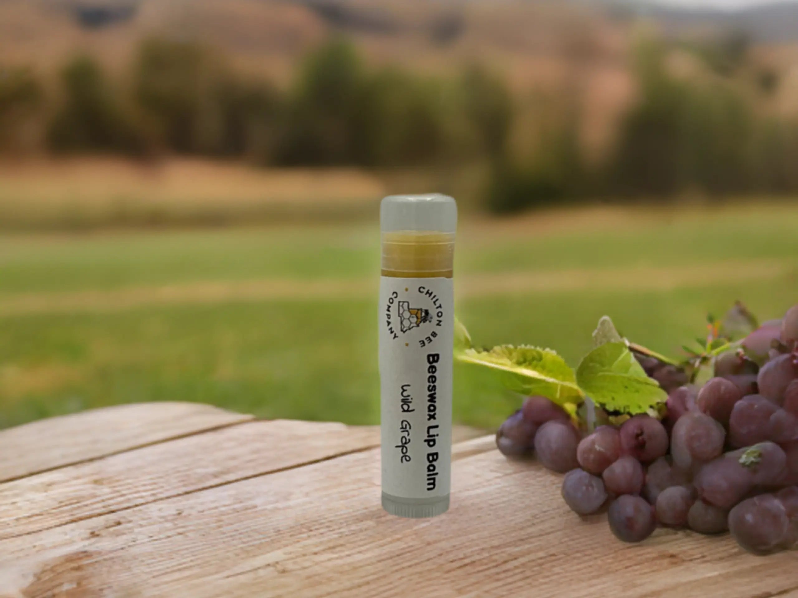 Lip Balm Tubes Chilton Bee Company