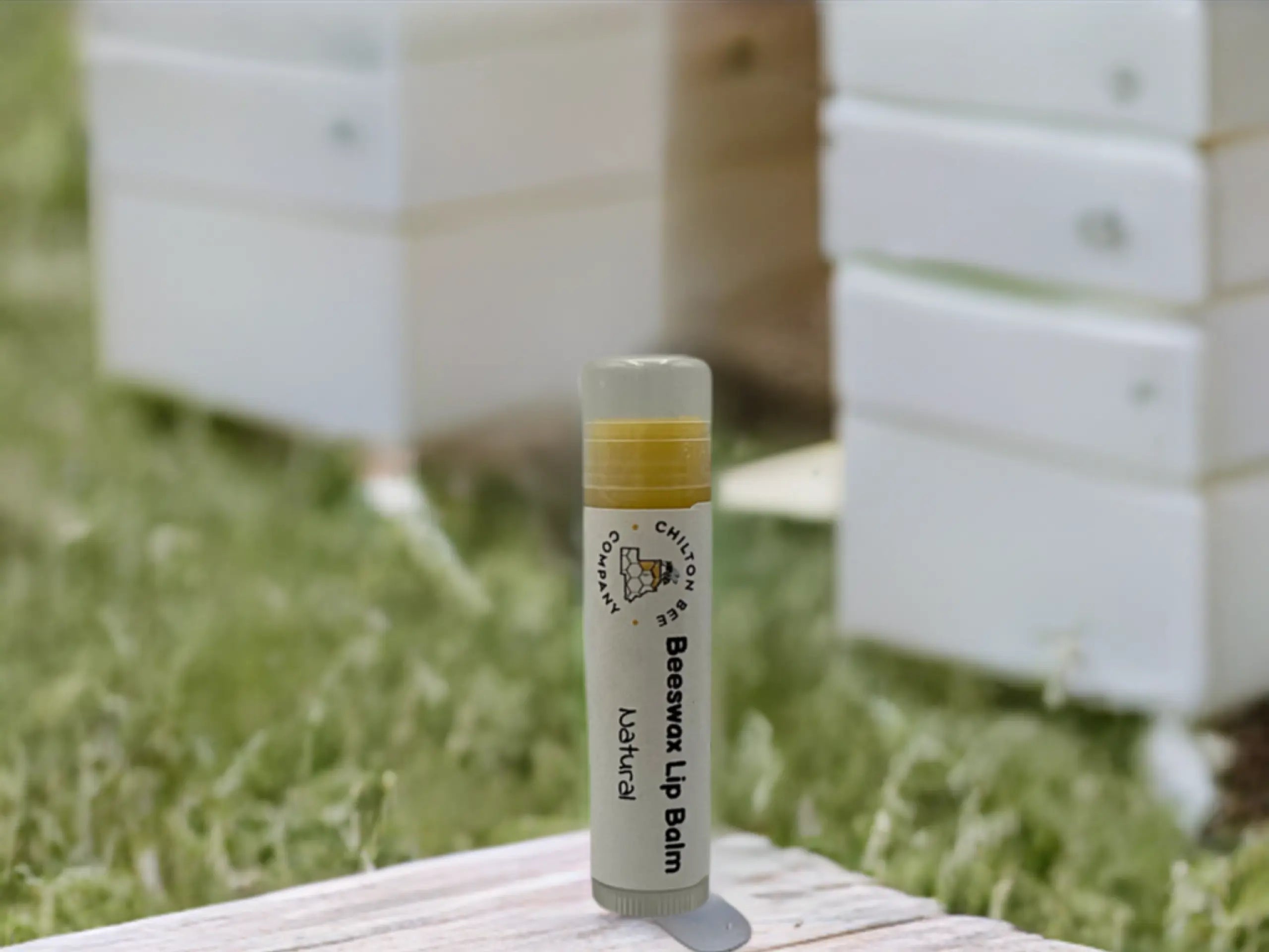 Lip Balm Tubes Chilton Bee Company