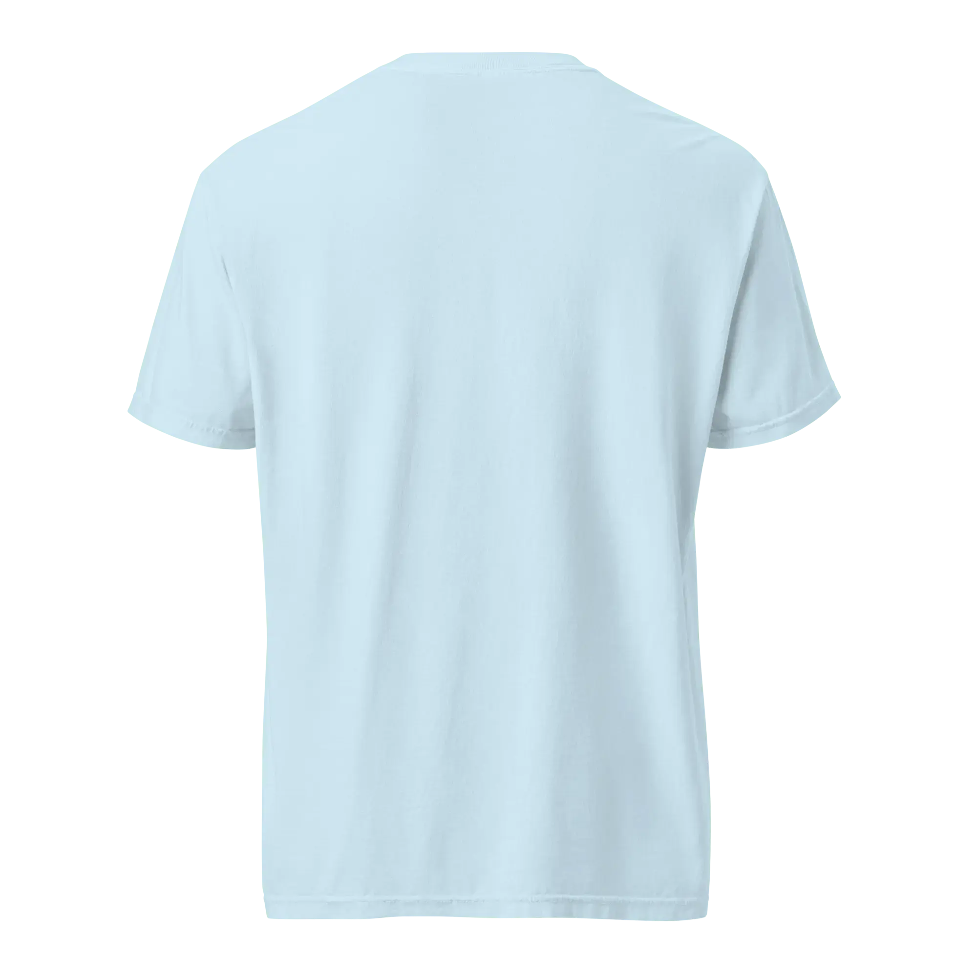 Mississippi T-Shirt: Handlettered Art - Comfort Colors Tee, Main Street Collective