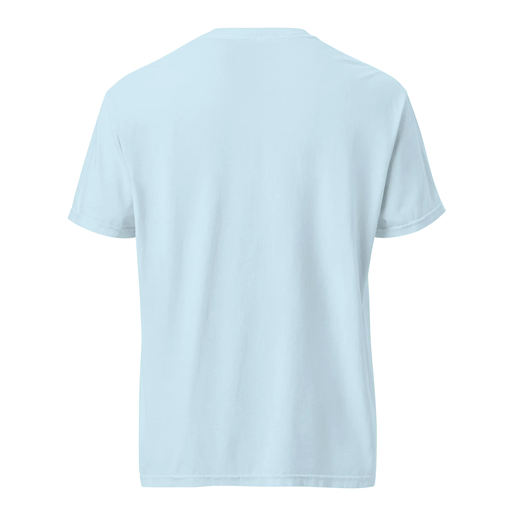 Back view of a light blue Mississippi short sleeve t-shirt. Comfy cotton tee for men or women.