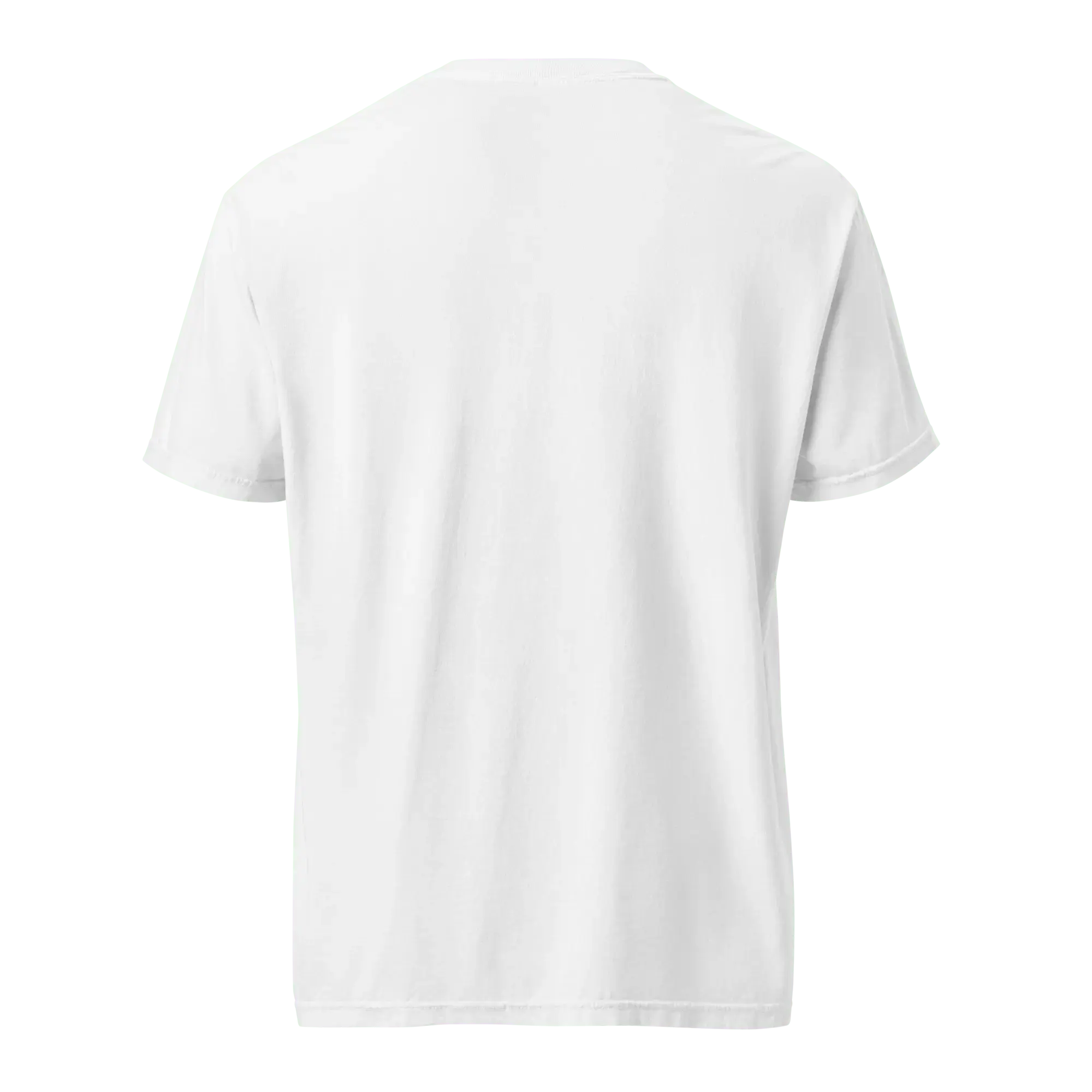 Main Street Collective: White Comfort Colors Mississippi Handlettered Tee by Leslie Gonce in Red & Blue