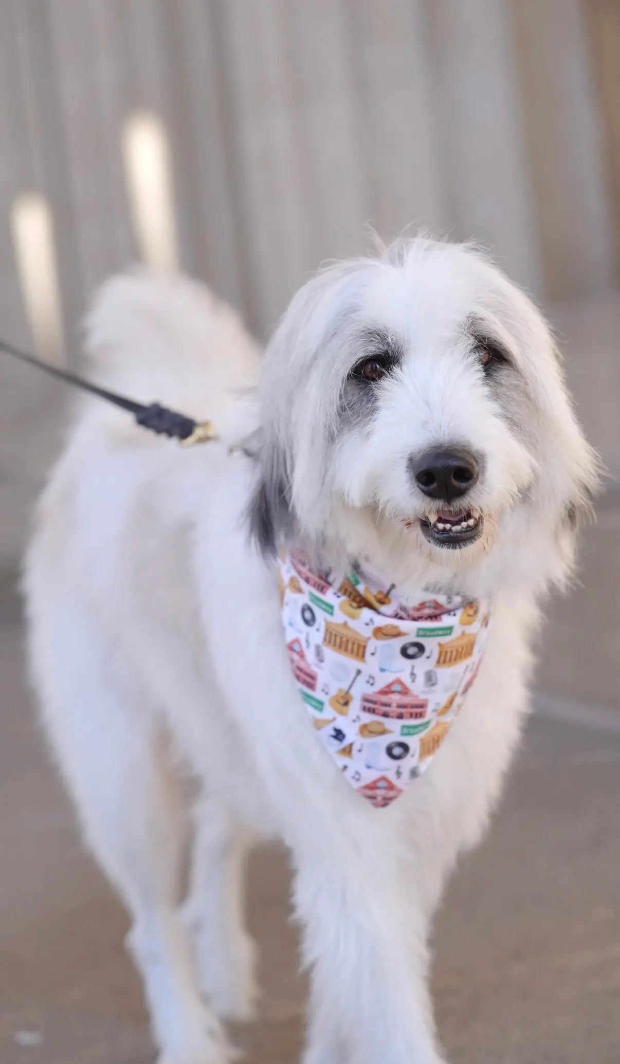 Nashville Tennessee Dog Bandana by Dog Bandana Co., pet accessory detail photo 3