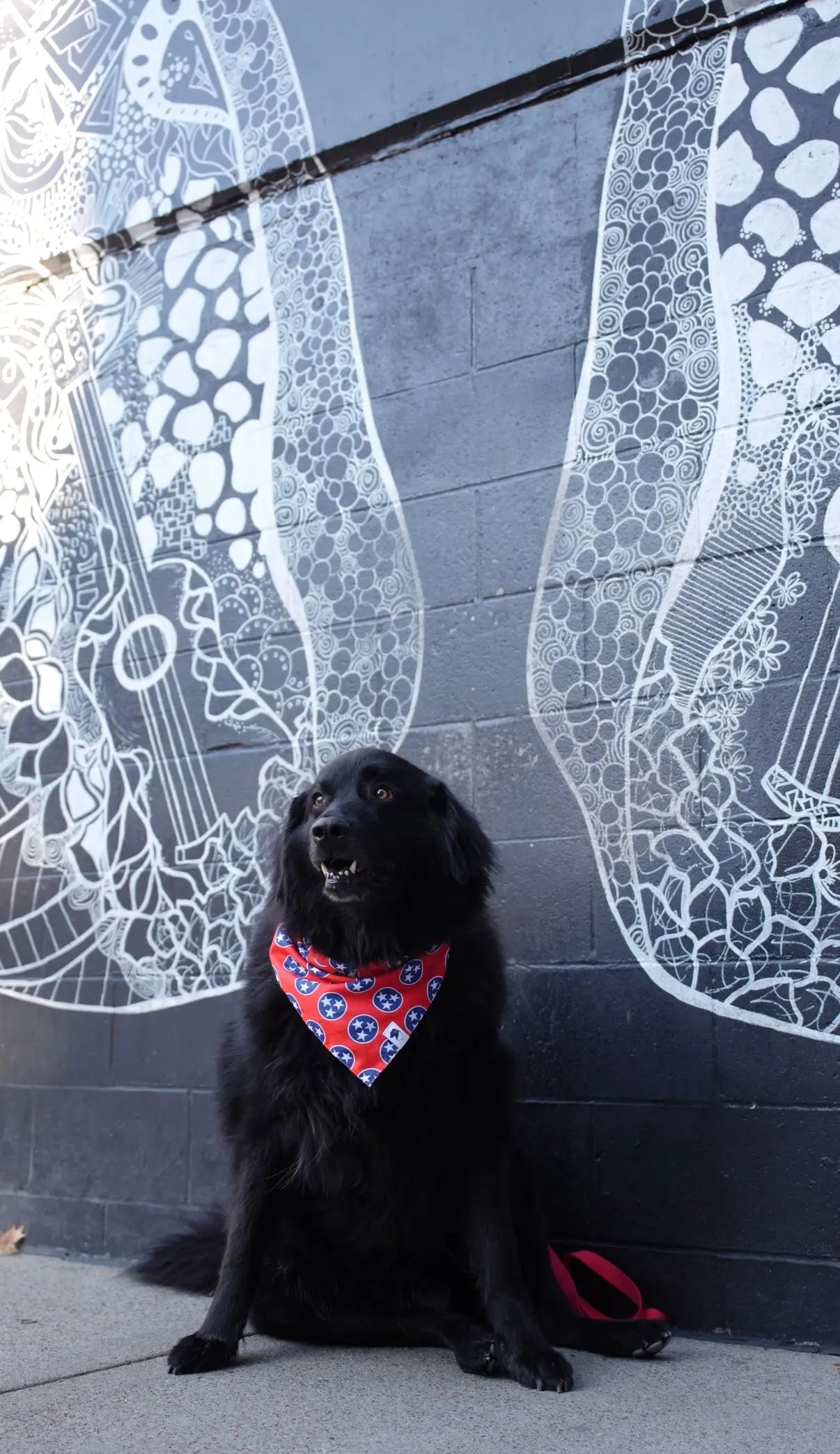 Nashville Tennessee Dog Bandana by Dog Bandana Co., pet accessory detail photo 4