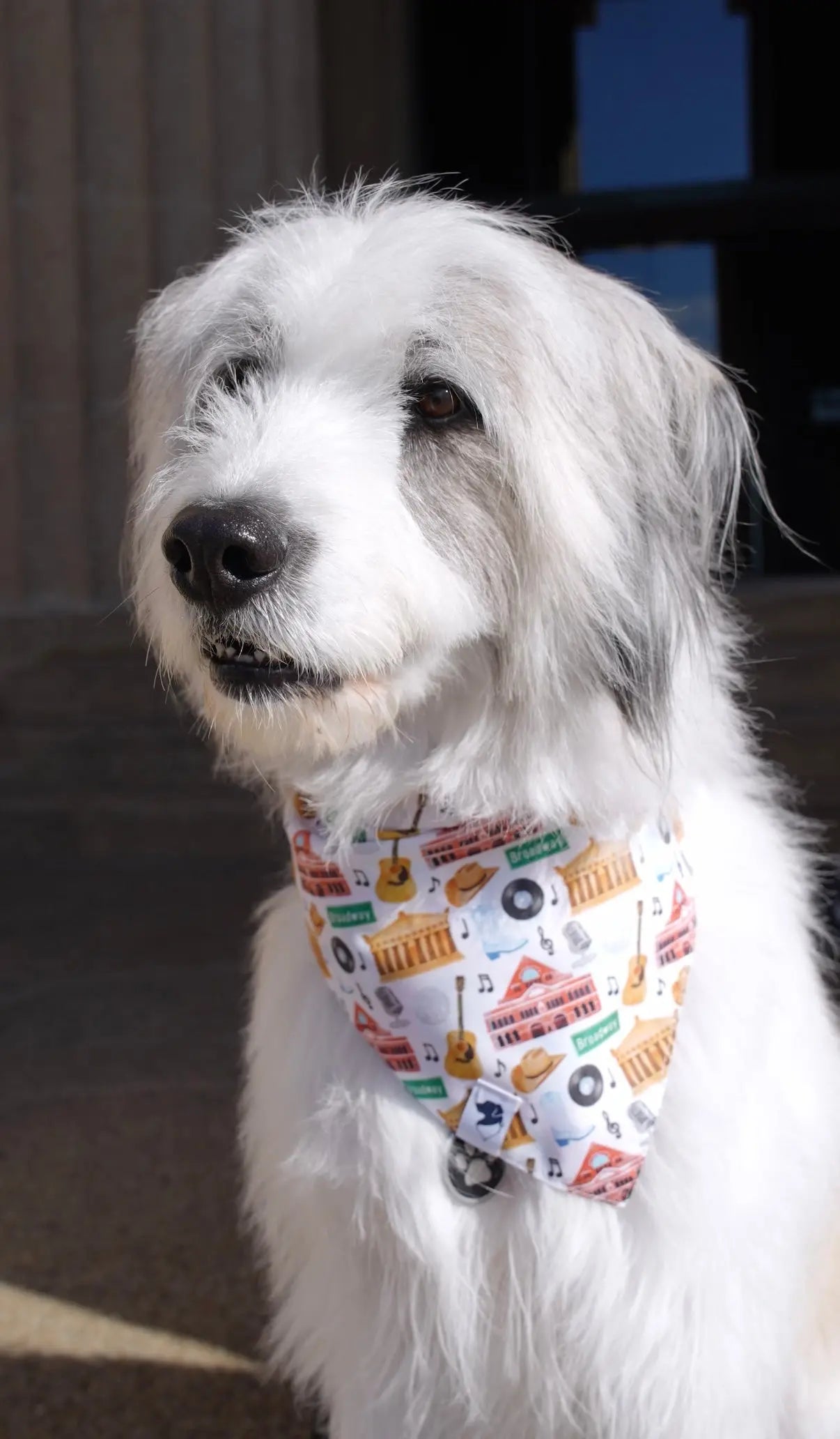 Nashville Tennessee Dog Bandana by Dog Bandana Co., pet accessory detail photo 5