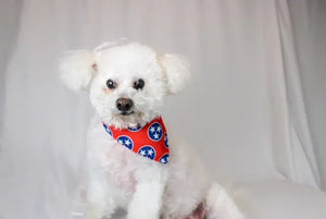 Nashville Tennessee Dog Bandana by Dog Bandana Co., pet accessory detail photo 7
