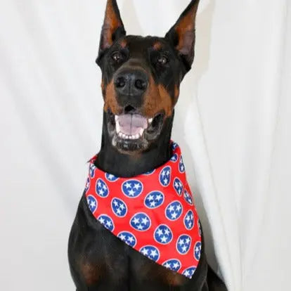 Nashville Tennessee Dog Bandana by Dog Bandana Co., pet accessory detail photo 8
