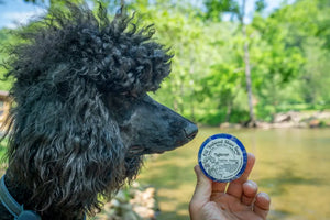 Old Fashioned Men'S Shave Soap by Essential Journeys, natural skincare detail photo 4