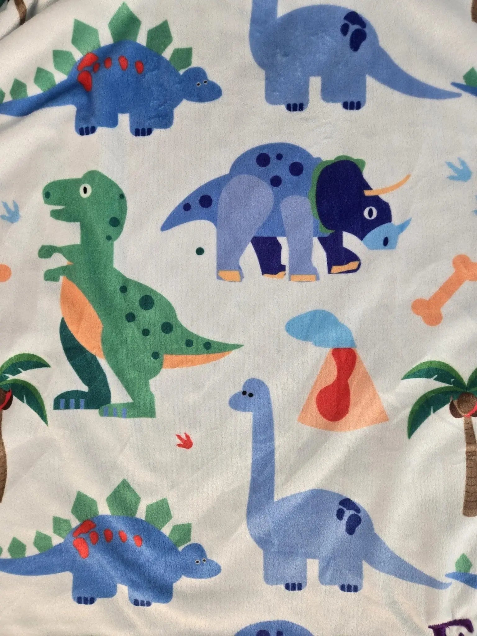 Personalized Baby/Toddler Blanket by EverLee Creations, children's boutique clothing detail photo 9