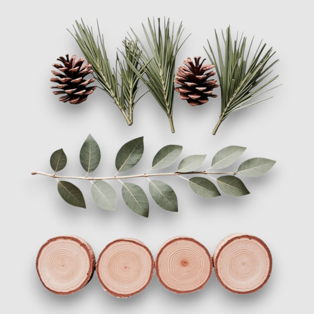Lake Tahoe: Pure Fragrance Oil