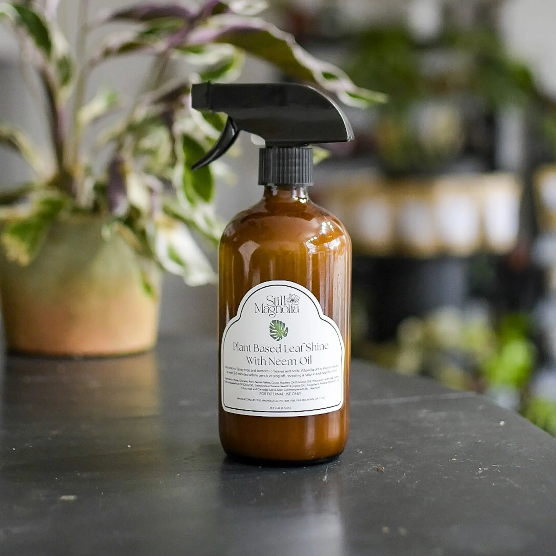 Plant Based Leaf Shine with Neem Oil by Still Magnolia, natural skincare main product photo