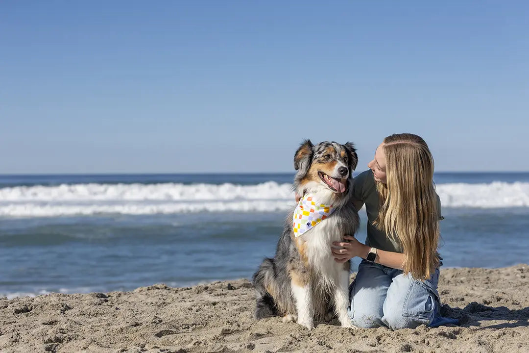 Popsicle Dog Bandana Dog Bandana Co.