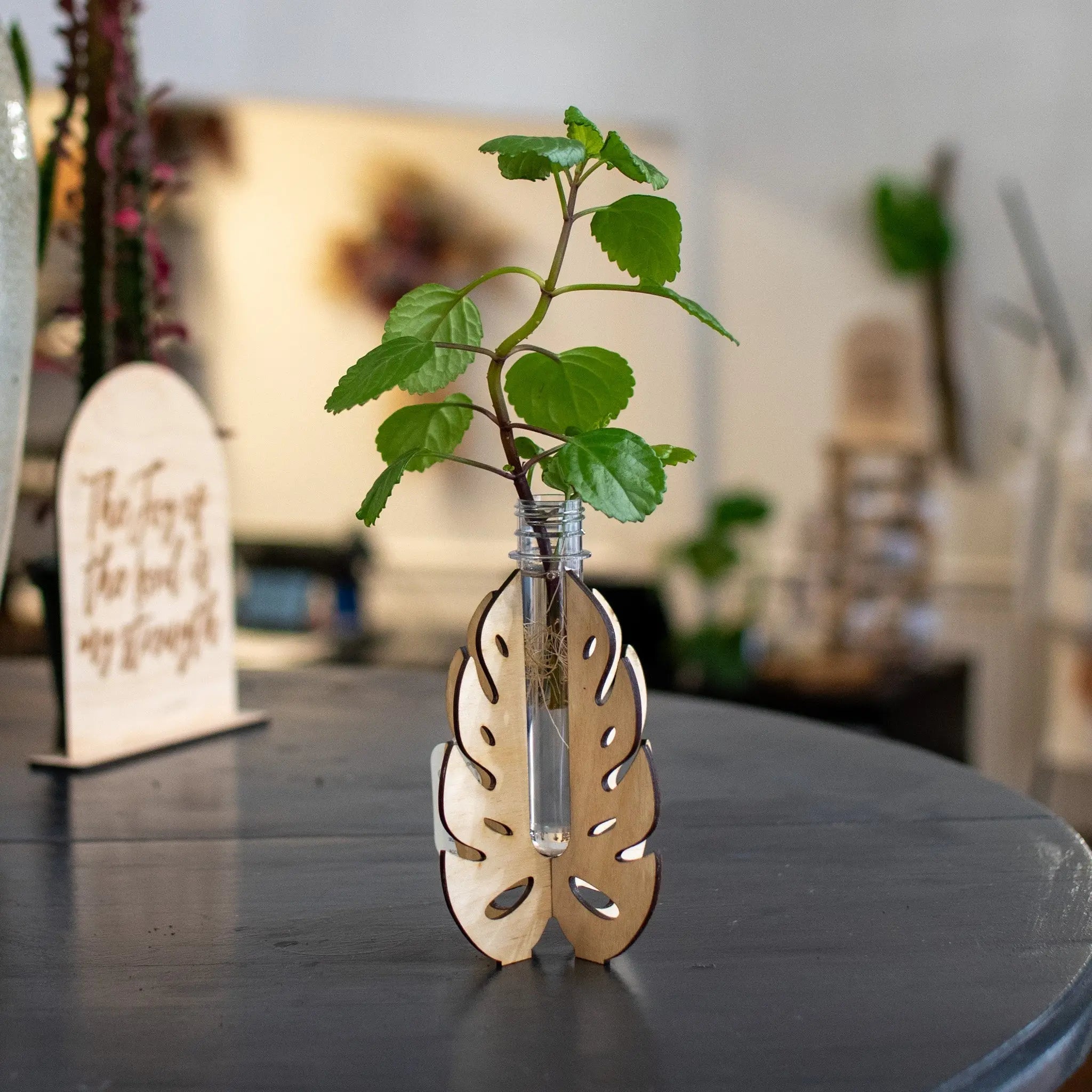 Propagation Station - Stand Still Magnolia