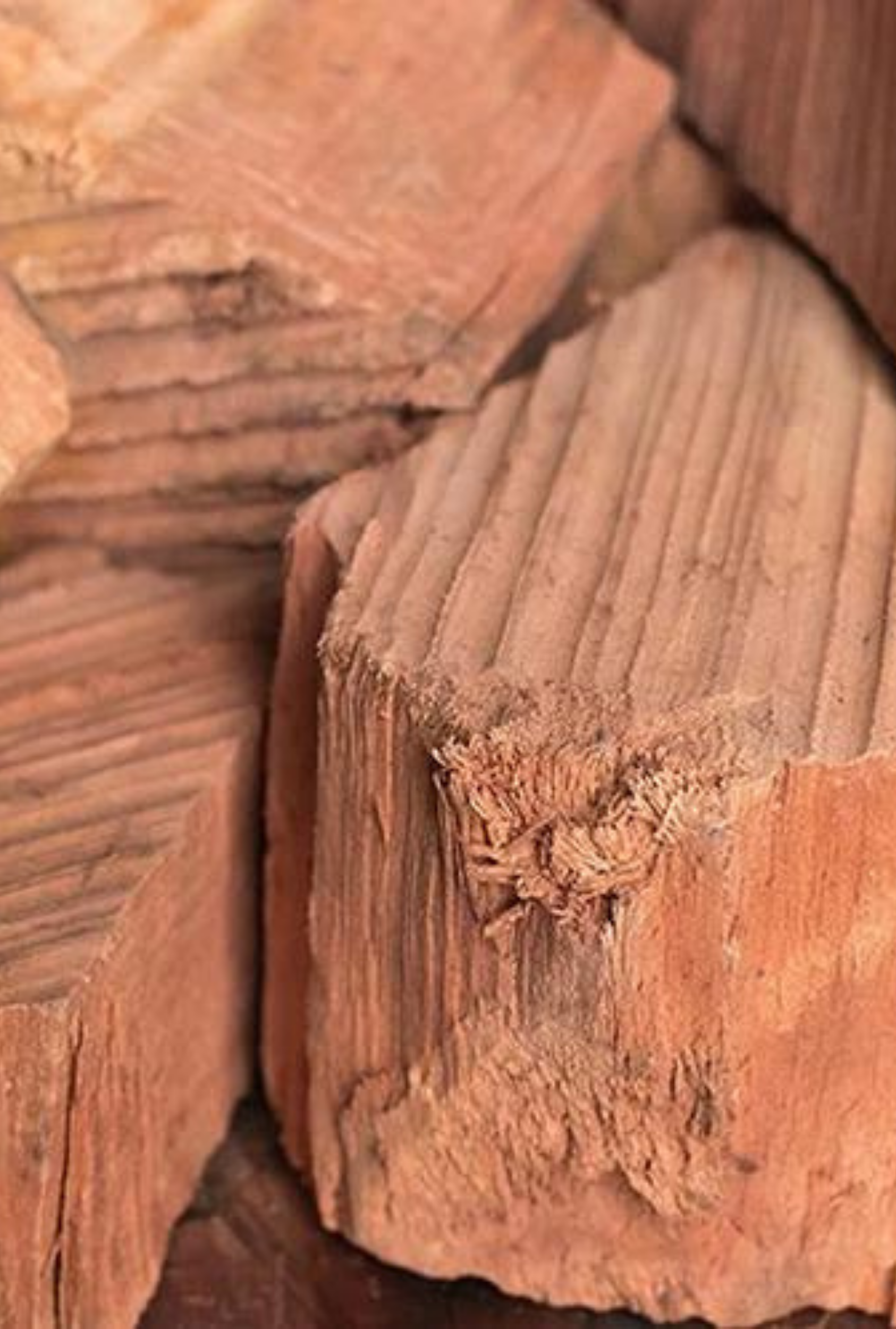 Sandalwood | Soft Woods · Dark Musk · Rich Amber