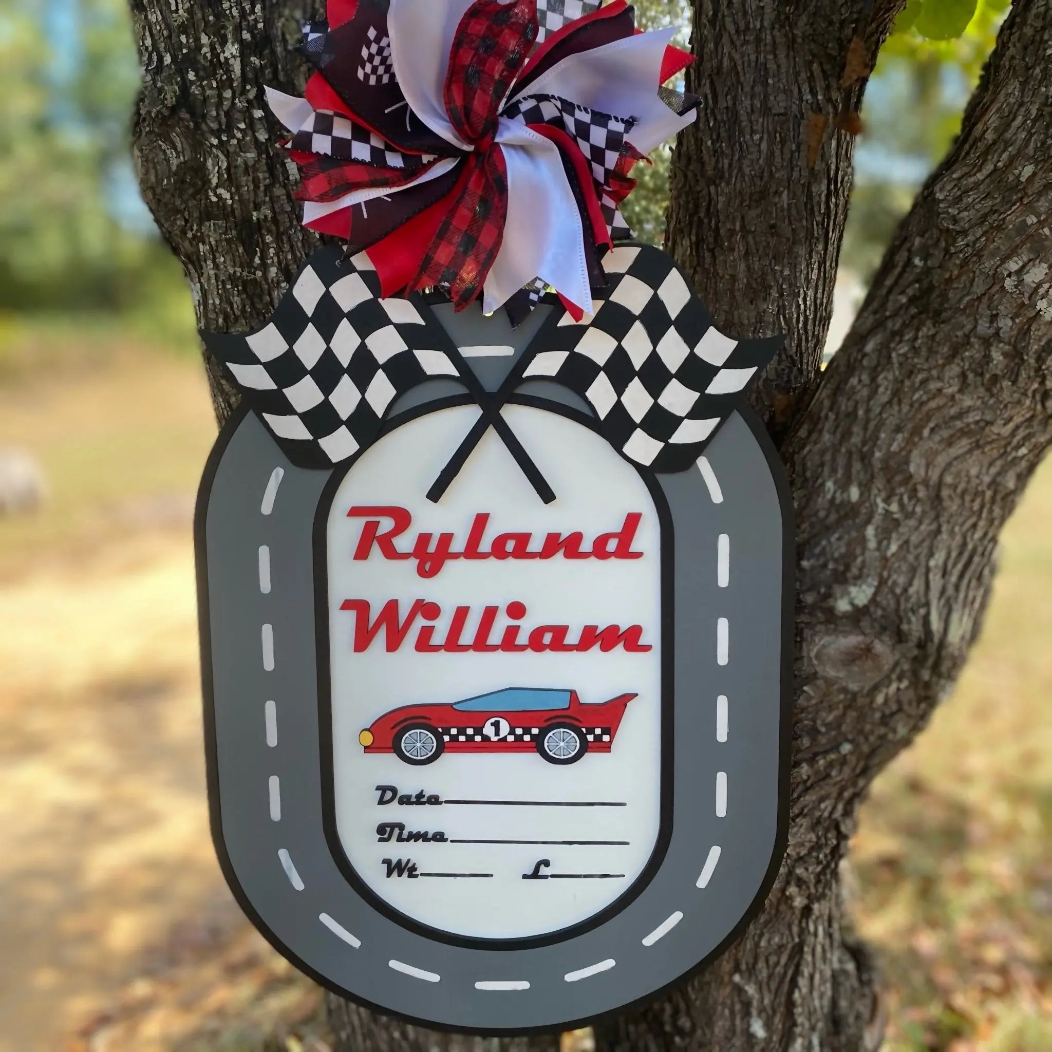 Personalized Racing Car Birth Announcement Door Hanger | Baby Hospital Sign