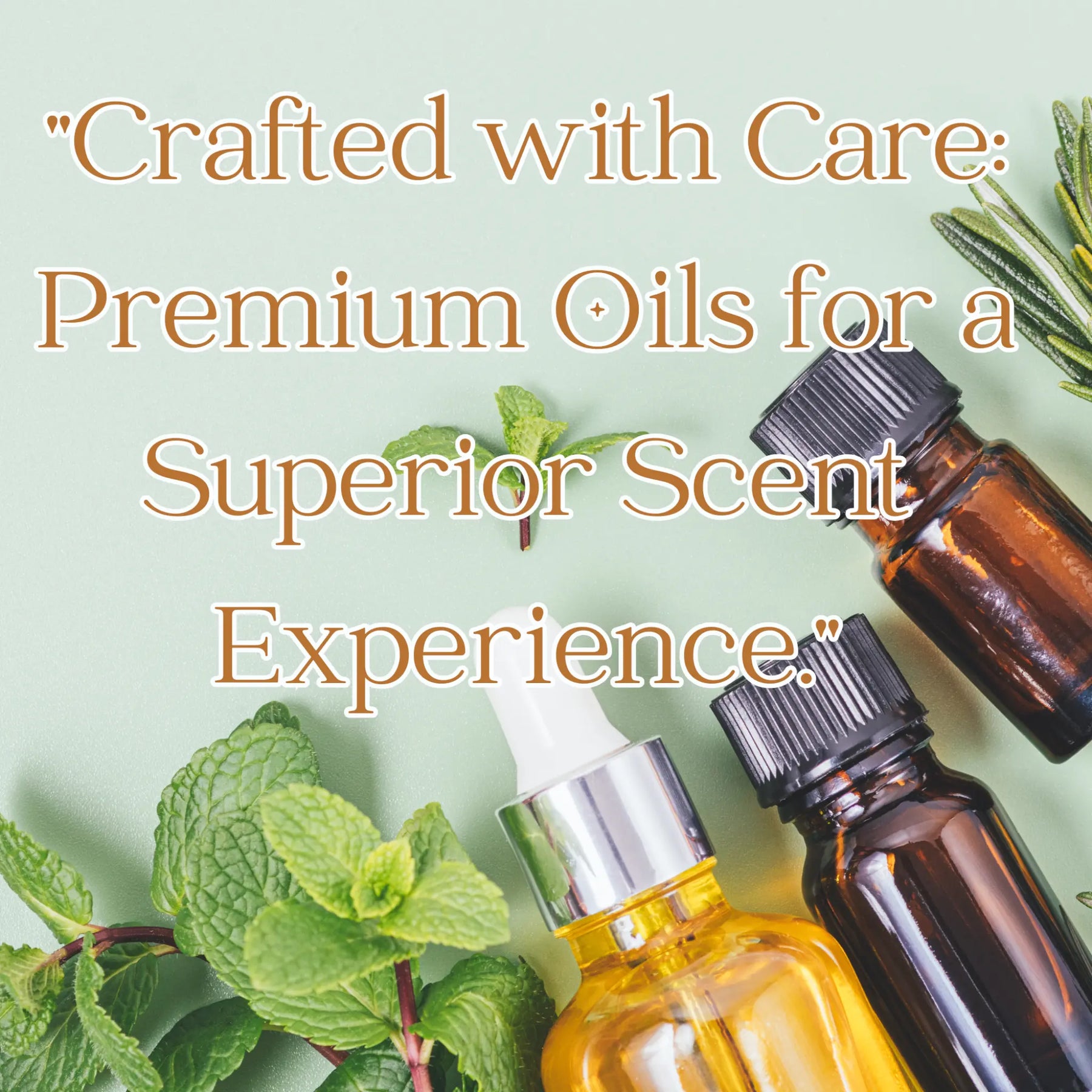 Essential oil bottles with mint and rosemary sprigs, product shot.
