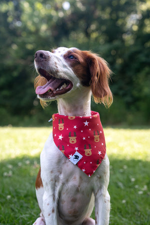 Reindeer & Penguin Christmas Reversible Dog Bandana by Dog Bandana Co., product view 4
