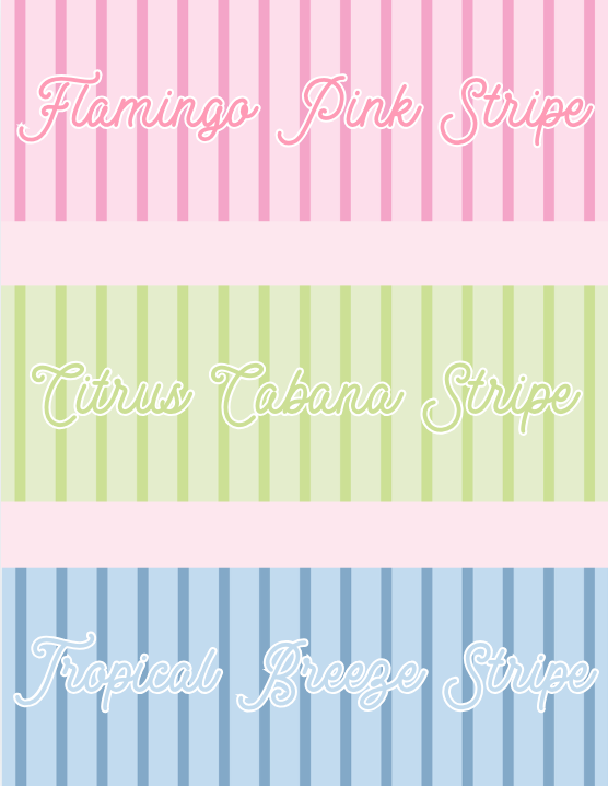 Jewelry Case | Customizable