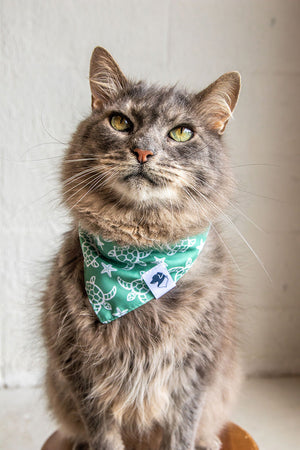 Sea Turtles & Coconuts Reversible Dog Bandana