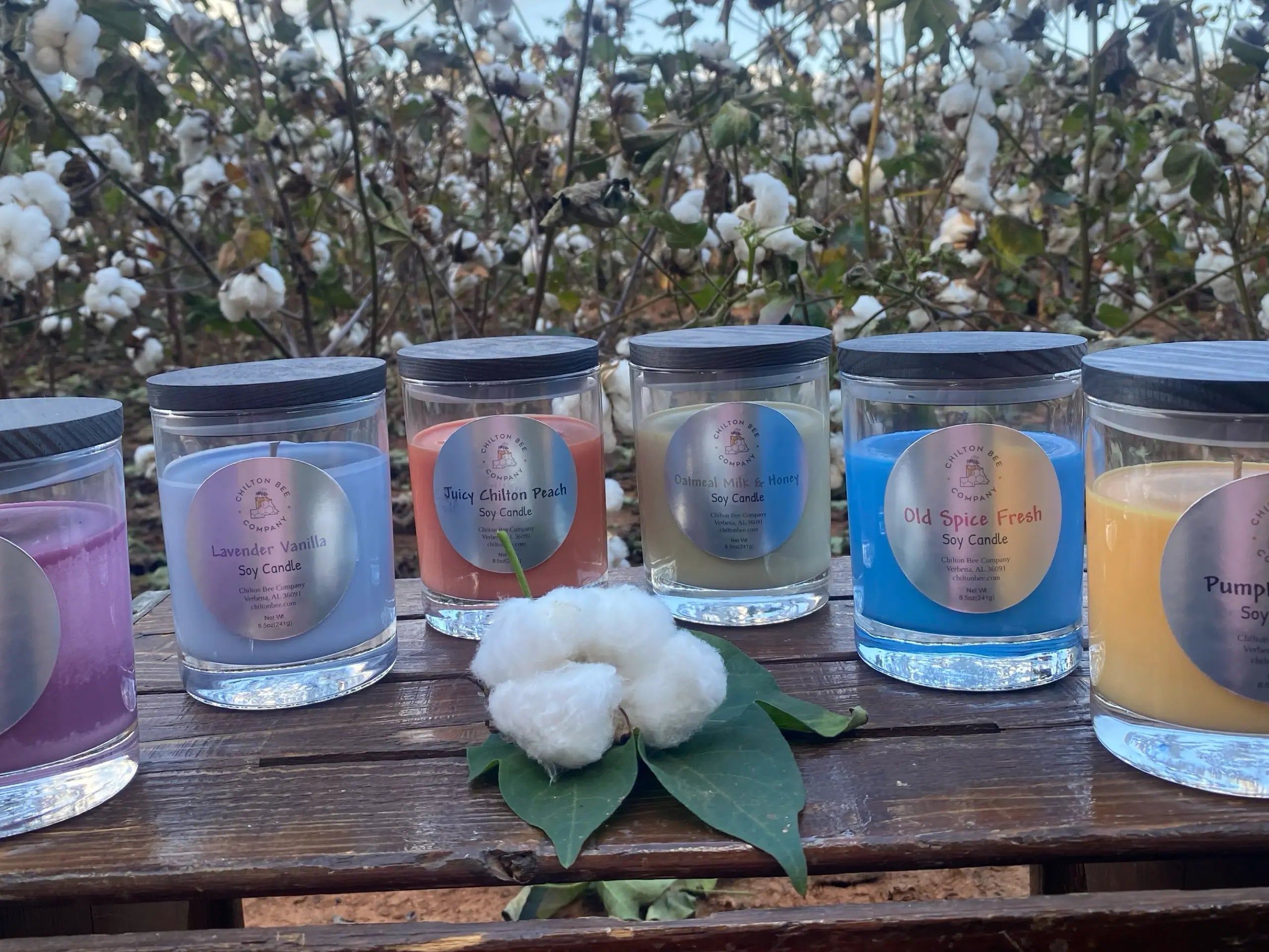 Single Wick Soy Candle Chilton Bee Company