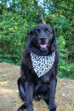 Skeleton Dog Bandana by Dog Bandana Co., pet accessory detail photo 4
