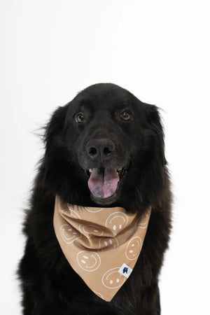 Smiles Dog Bandana Dog Bandana Co.