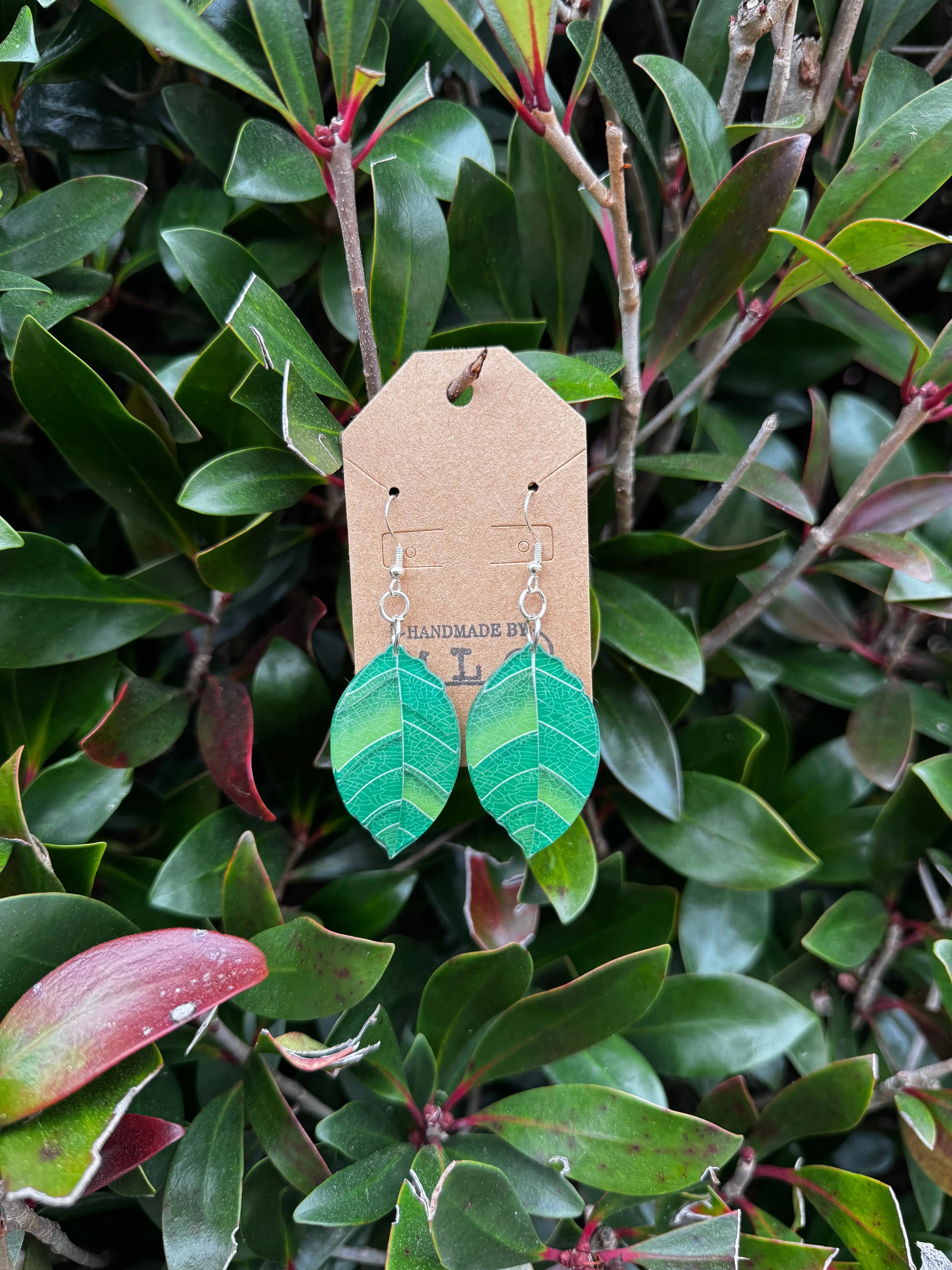 Leaf earrings: Green, leaf-shaped earrings with silver hooks hanging on a brown tag in a leafy bush. Handmade in Mississippi.