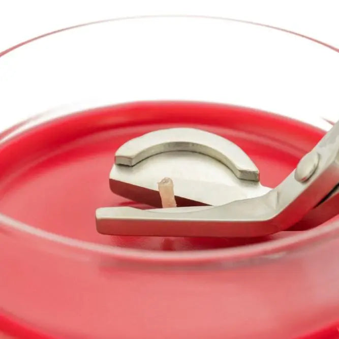 Stainless Steel Wick Trimmer (Collective) The Candleberry® Candle Company