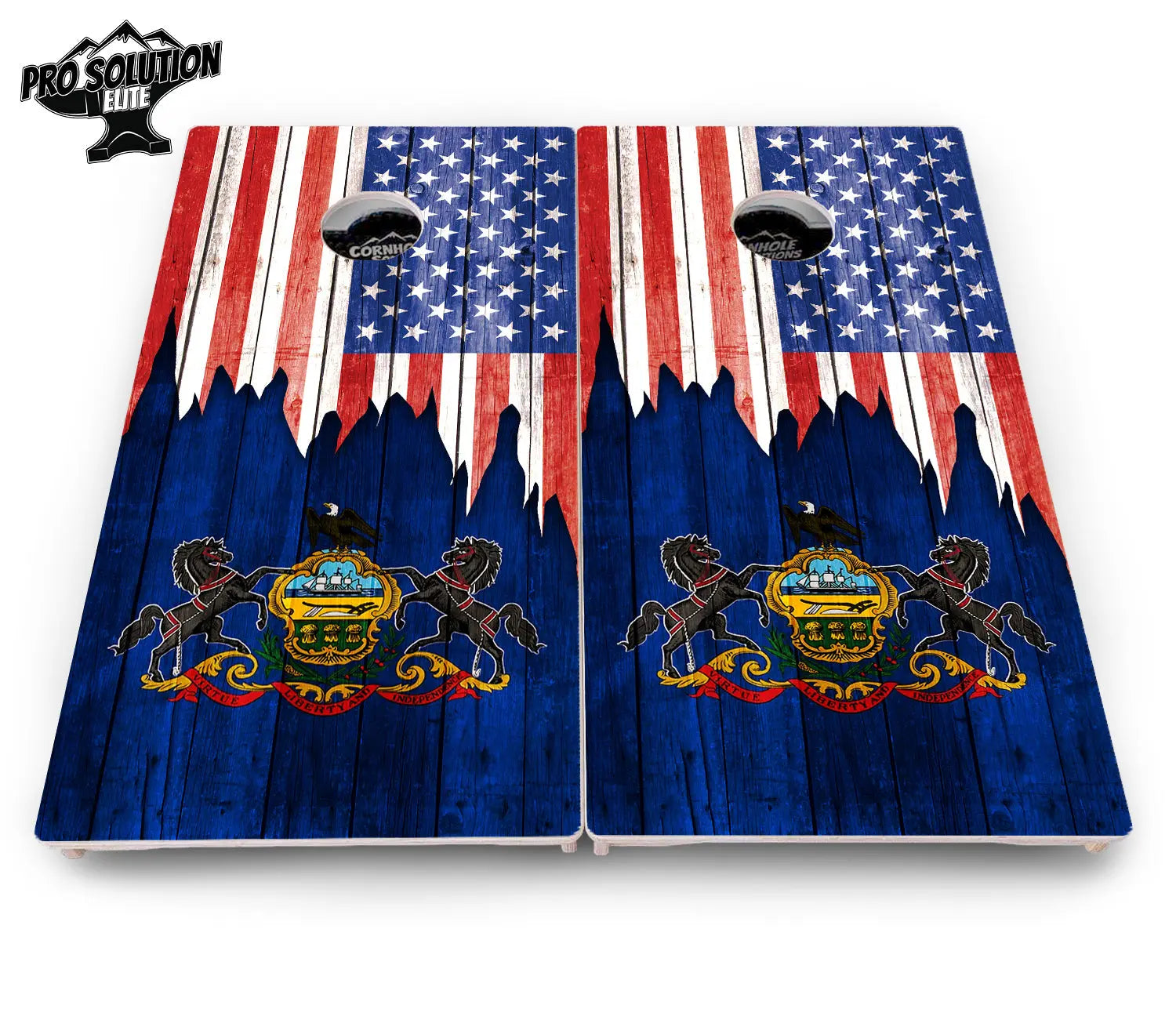 State Flag Designs New Mexico to South Carolina Cornhole Boards - Pro Solution Elite Series by Cornhole Solutions, Southern home decor detail photo 20