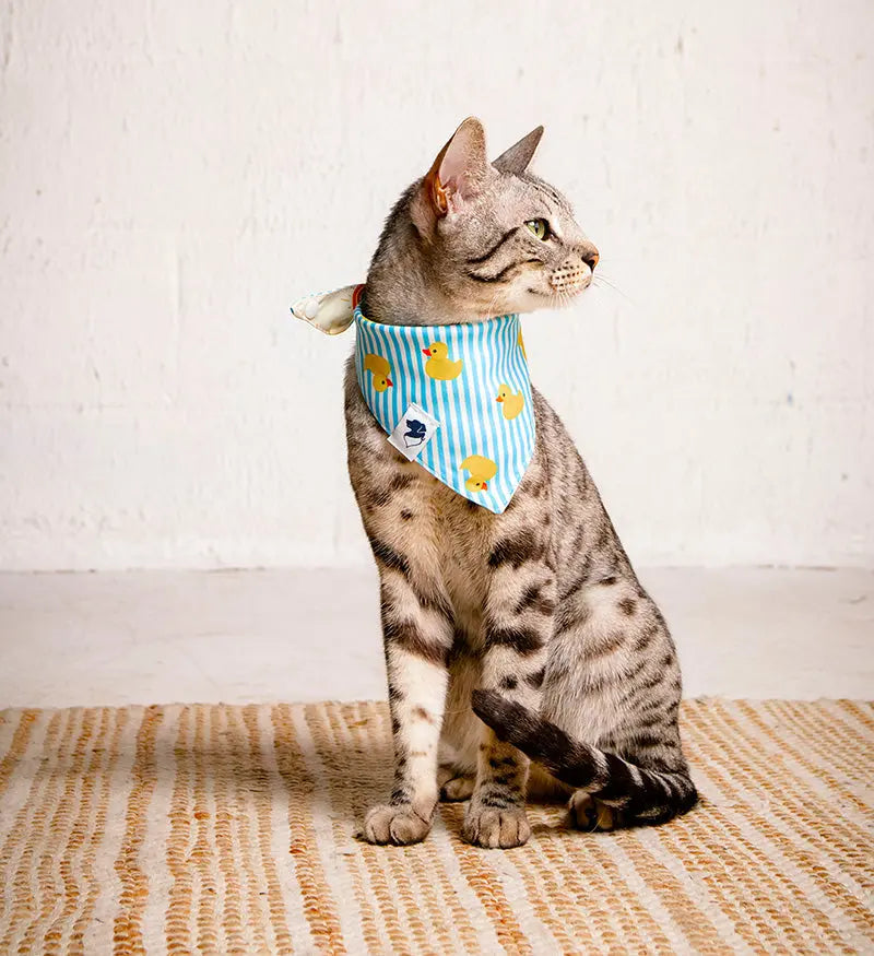 Sunny Side Dog Bandana by Dog Bandana Co., pet accessory detail photo 6