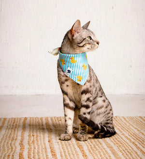Sunny Side Dog Bandana by Dog Bandana Co., pet accessory detail photo 6