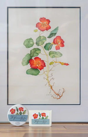 Framed nasturtium artwork above The Farmers Garden hand cream and soap.