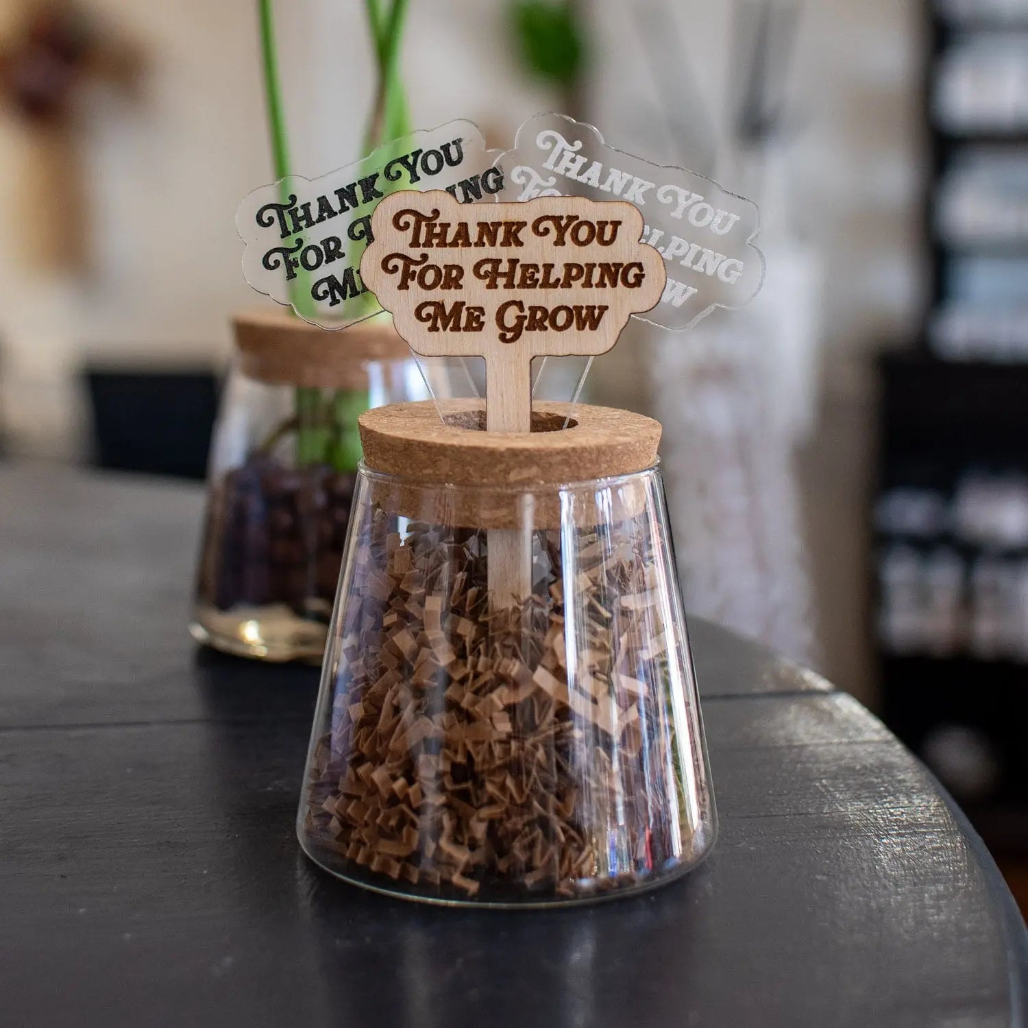 Thank You For Helping Me Grow - Plant Stakes Still Magnolia