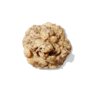 Toasted Coconut and Macadamia Nut Pralines Louisiana Candy Company
