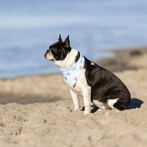 USA Dog Bandana Dog Bandana Co.