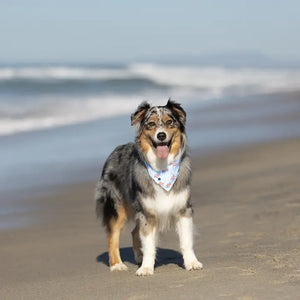 USA Dog Bandana Dog Bandana Co.