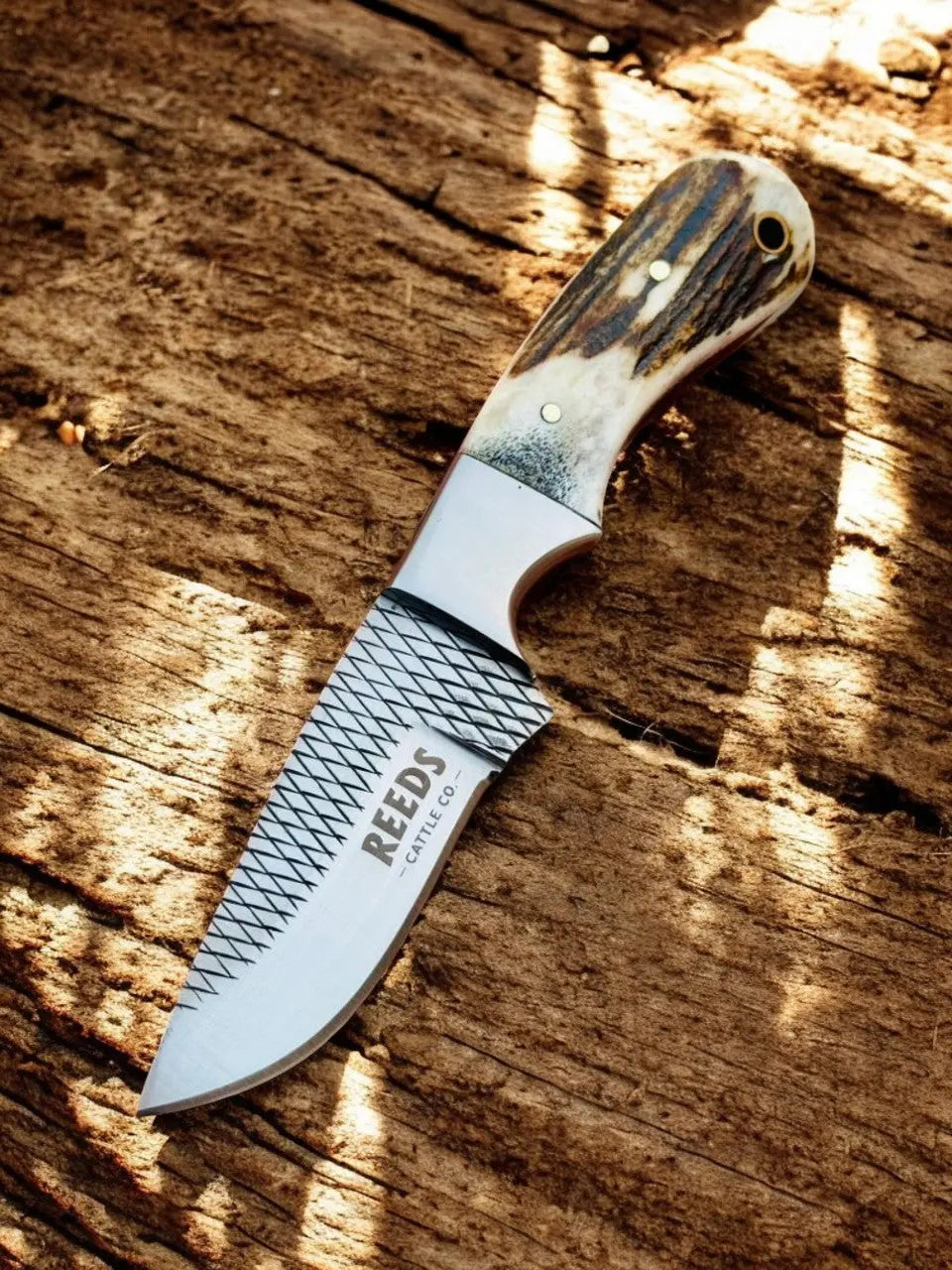 Western Knife with 3.4" Rasp Steel Blade & Antler Horn Handle by Damascus Knife Store, Damascus knife detail photo 2