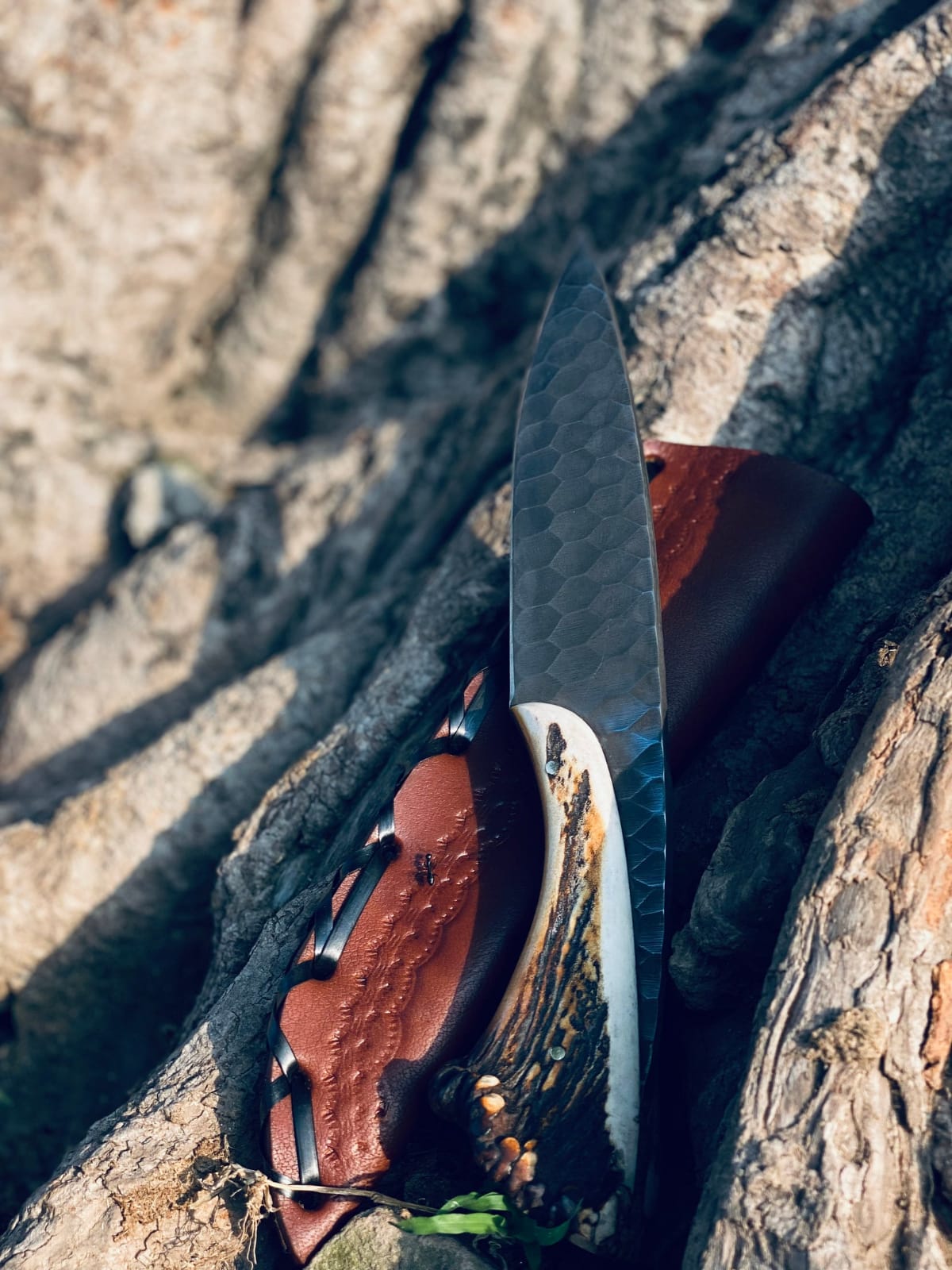 1095 Steel Hunting Knife | 9.5" | Black Coated Blade | Stag Horn Handle | Leather Sheath