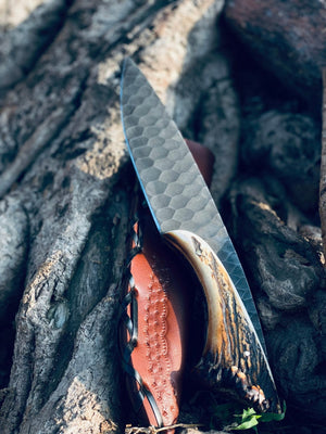1095 Steel Hunting Knife | 9.5" | Black Coated Blade | Stag Horn Handle | Leather Sheath
