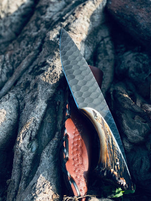 1095 Steel Hunting Knife | 9.5" | Black Coated Blade | Stag Horn Handle | Leather Sheath