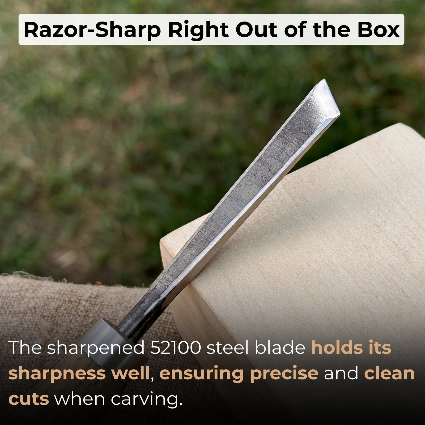 Angled Bevel Carving Chisel with Palm Handle – 10 mm (0.39 inches)