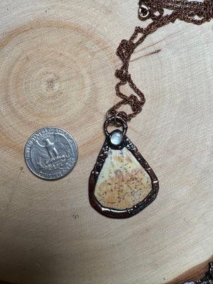 Butterfly Wing and Mother of Pearl Shell Necklace