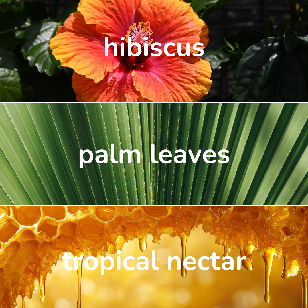 Polynesian Shores Room and Linen Spray by Lucid Coast Co. product image 2