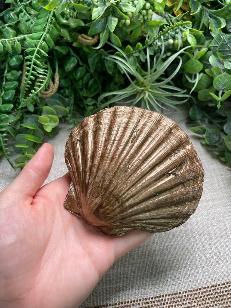 Decoupage Shell