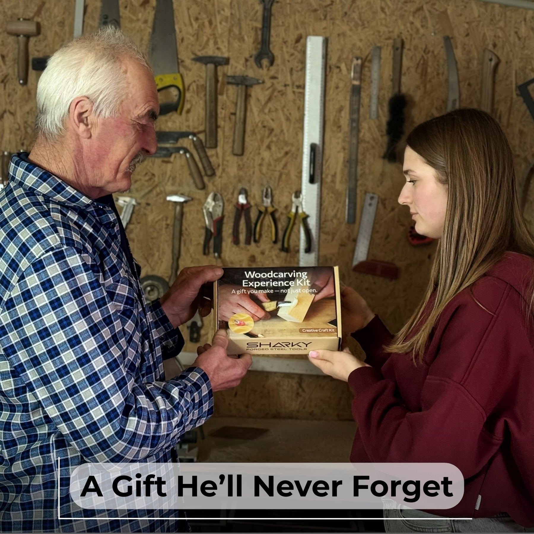 DIY Bird Wood Carving & Painting Kit