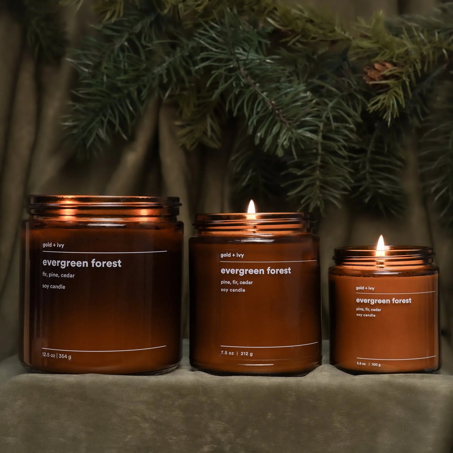Evergreen forest by gold + ivy, scented candle main product photo
