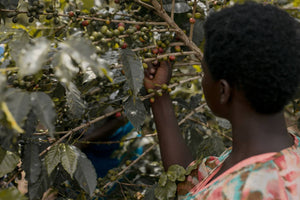 Rwanda Anaerobic