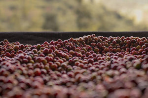 Rwanda Anaerobic